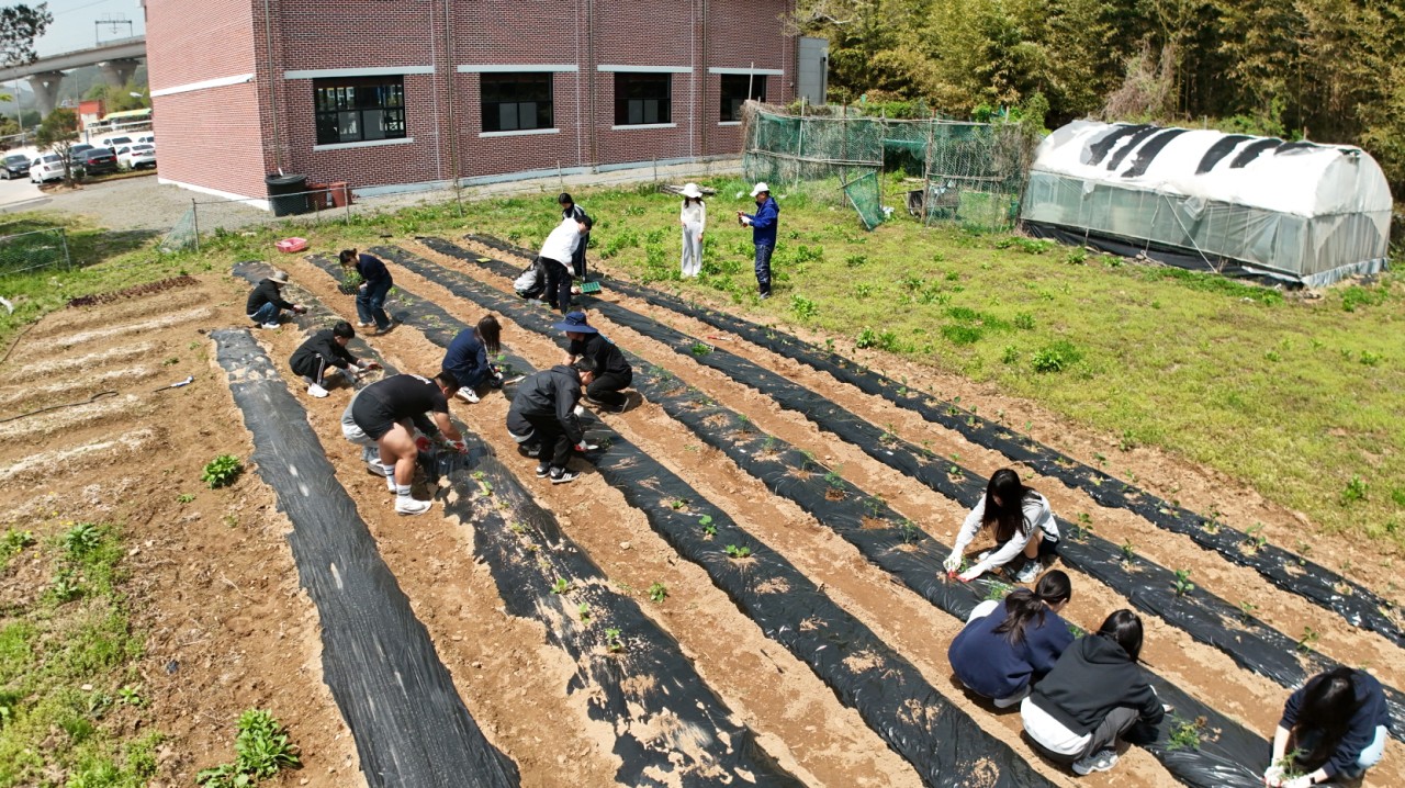 곤명중학교, 맛있는 환경 나눔 실천 ‘감자데이’ 운영 - 관련이미지3