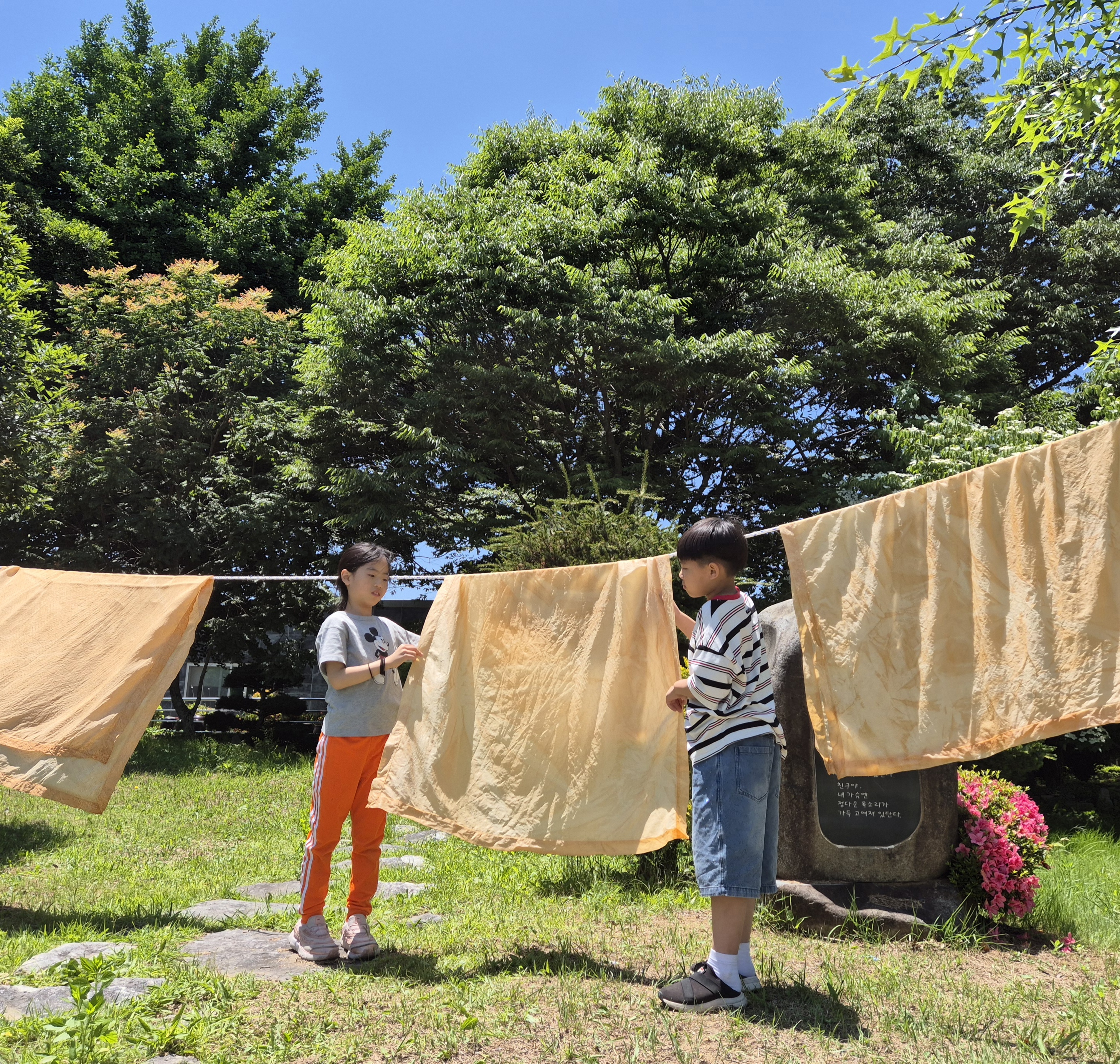 창원 하북초, 천연 염색으로 지구를 지켜요  - 관련이미지1