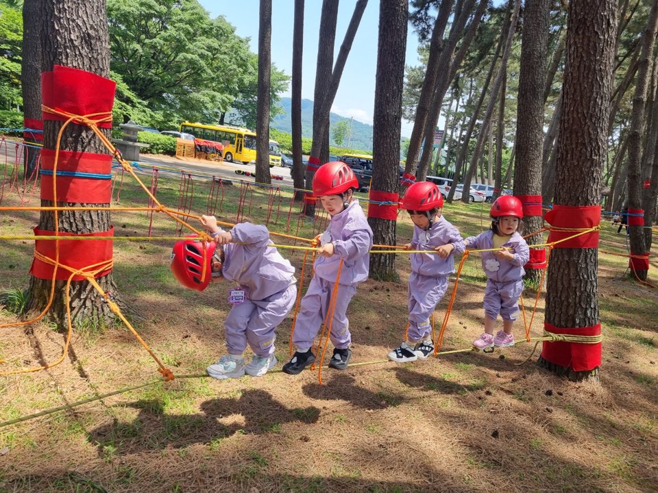 지역거점 하동유치원, '자연아 놀자! 밧줄 모험 활동' 실시 - 관련이미지3