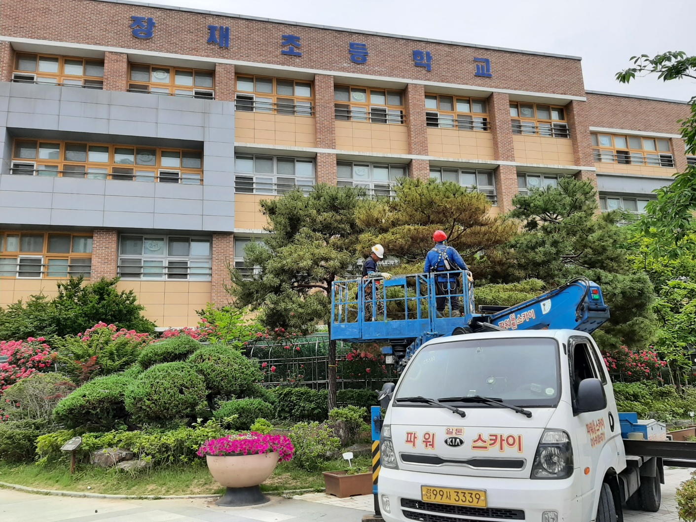 진주교육지원청, 상반기 학교 수목 전정 위탁 사업 시작  - 관련이미지1