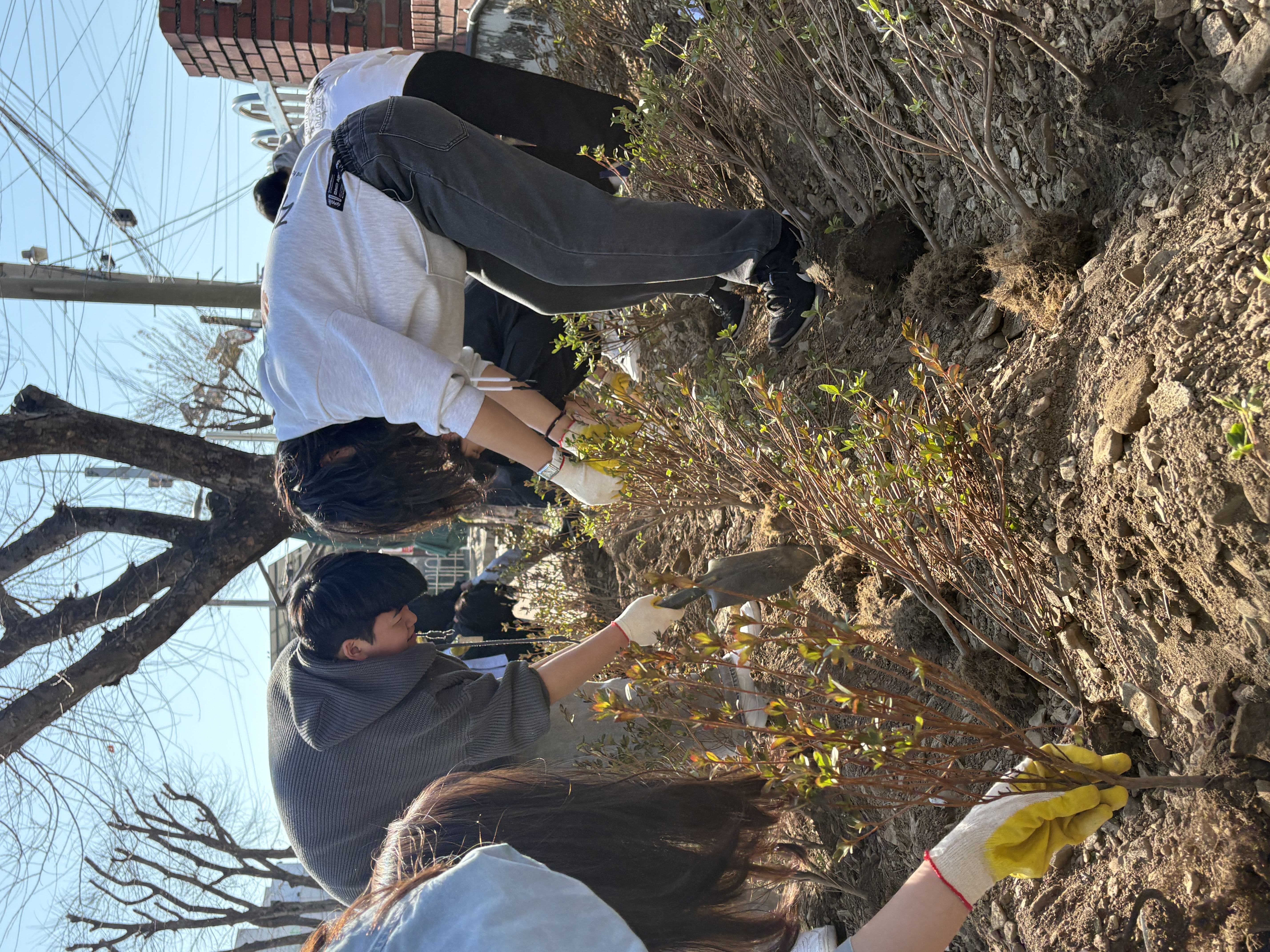 2025. 경남고성음악고등학교 식목일 기념 나무심기 행사 - 관련이미지2