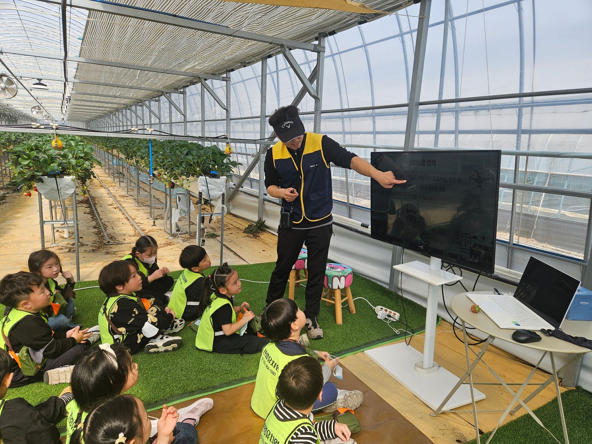 천령유, 달콤한 딸기향이 가득하고 스마트하고 똑똑한 스마트팜 딸기 농장으로 가요 - 관련이미지3