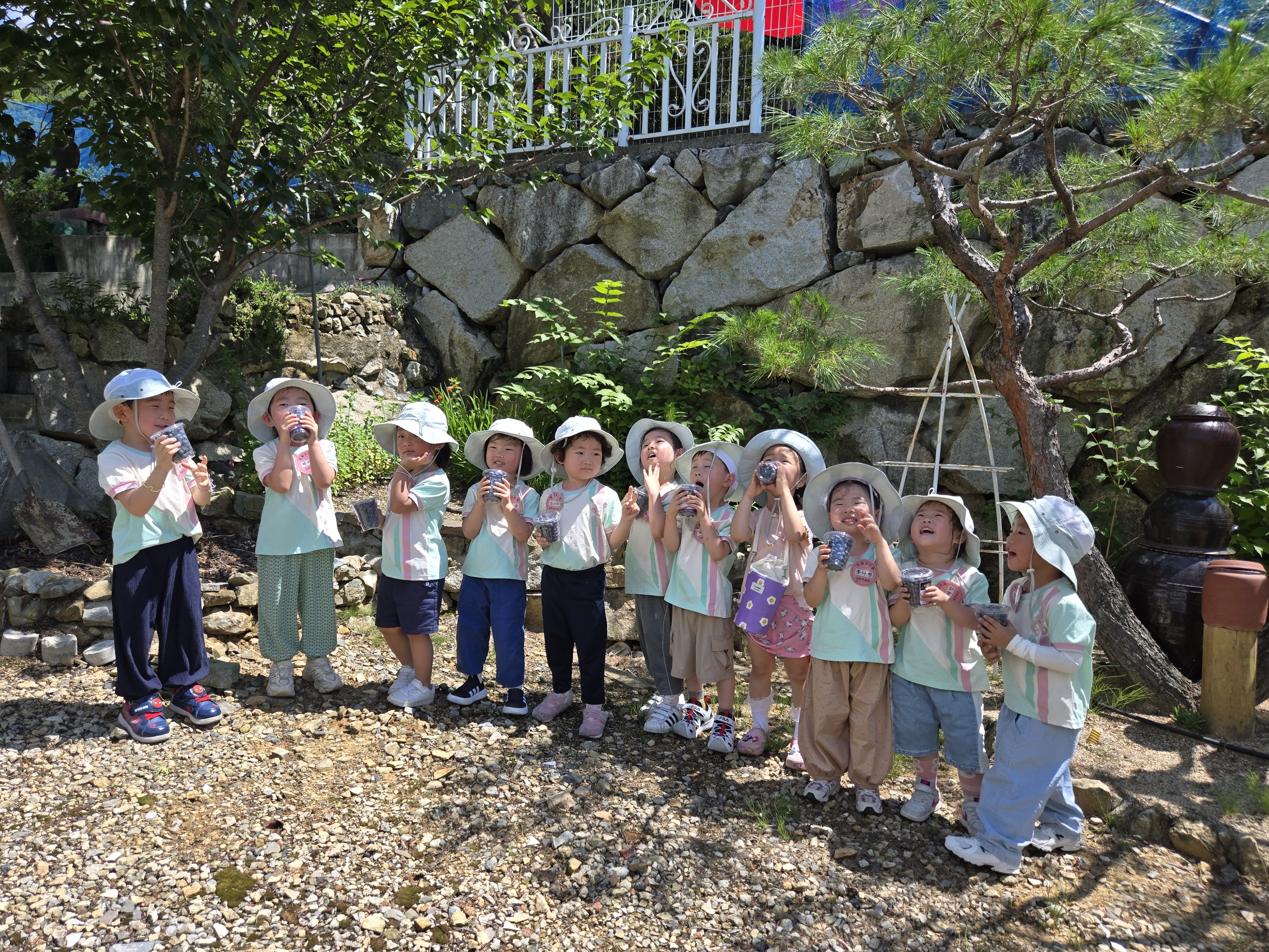 “토월유치원, 블루베리 수확 체험으로 배우는 감사와 생명의 소중함” - 관련이미지1