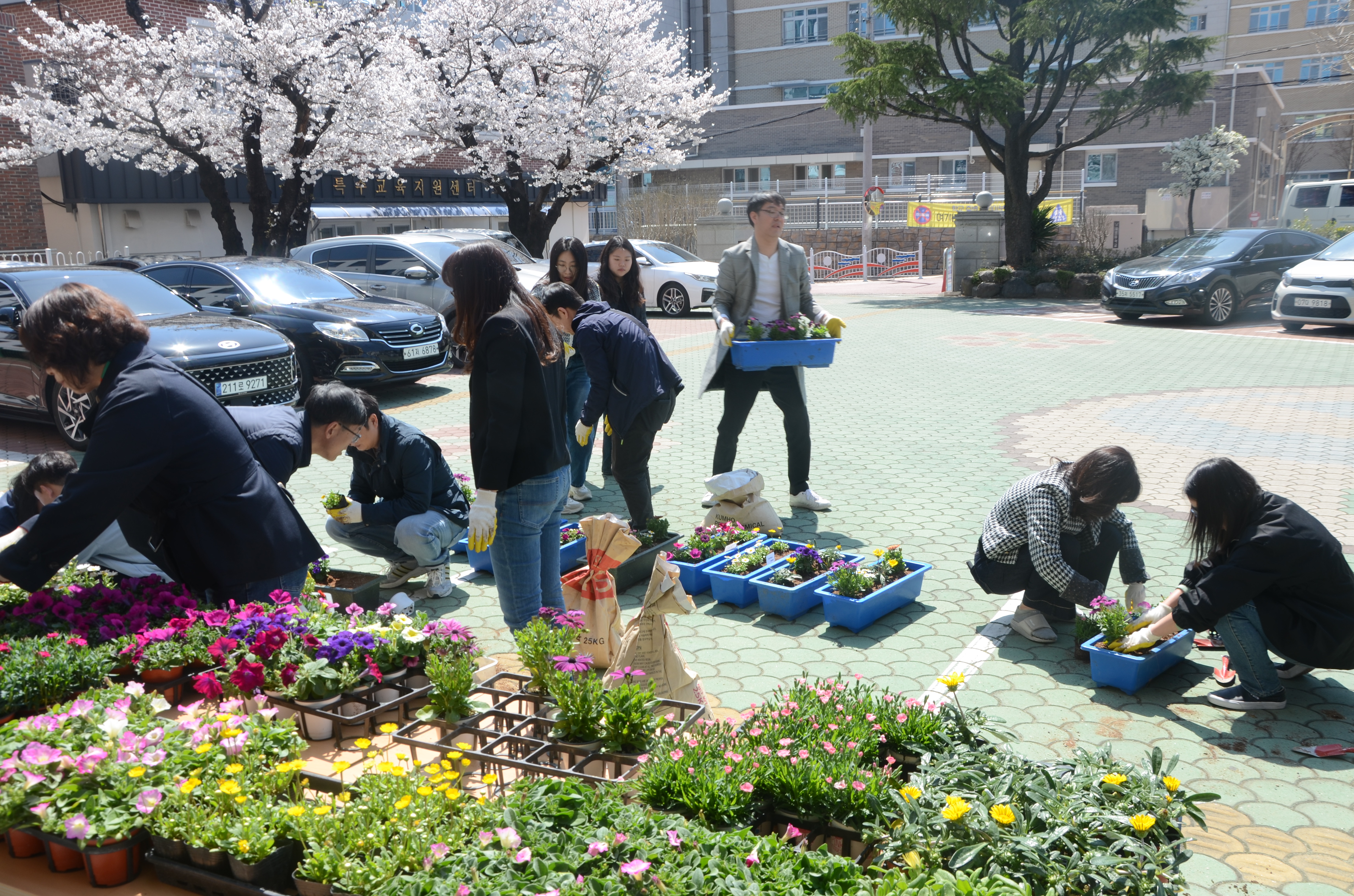 남해교육지원청, 식목일을 맞이하다 - 관련이미지1