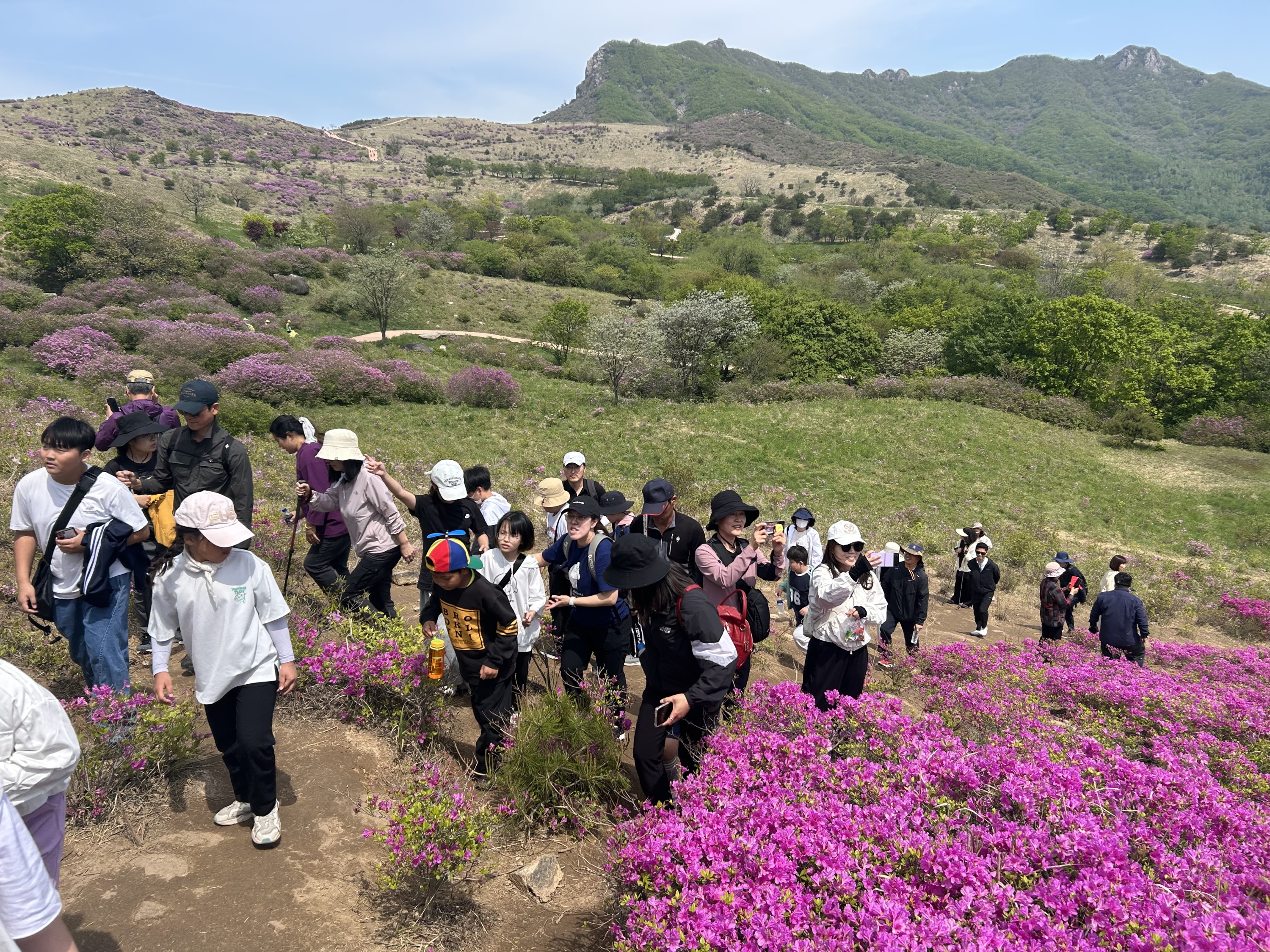 초계초, 황매산 철쭉꽃 물결 속에서 교육공동체 함께 걷다. - 관련이미지3