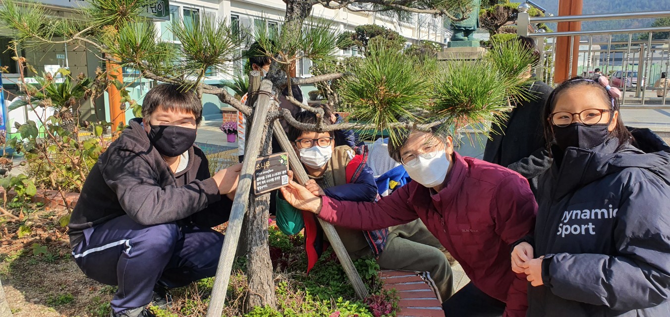 통영 도산초, 개성 있고 아이디어 넘치는 한울타리 그룹활동 나무소개(QR코드) 이름표 달기 - 관련이미지3