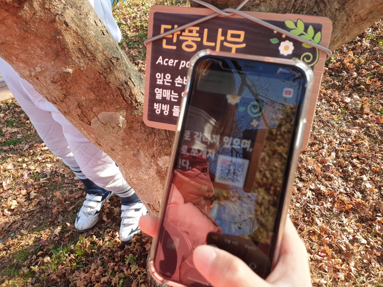 통영 도산초, 개성 있고 아이디어 넘치는 한울타리 그룹활동 나무소개(QR코드) 이름표 달기 - 관련이미지4