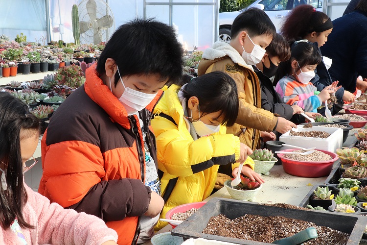 수동초, 내가 만든 한글 꾸밈 도자기에 친구와 함께 다육이 심기 체험 - 관련이미지3