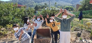 하천초, 오늘은 내가 농부 내가 키운 무와 배추 뽑기 - 관련이미지1