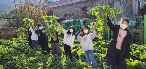 하천초, 오늘은 내가 농부 내가 키운 무와 배추 뽑기 - 관련이미지2
