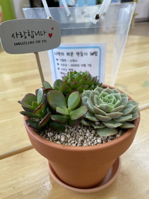 거창유, 정성가득 나만의 화분을 만들어요 - 관련이미지4