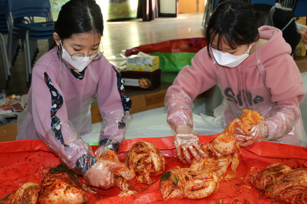 자라나는 꿈나무 농부들 김장체험 ‘직접 만들어 꿀맛입니다.’ - 관련이미지1