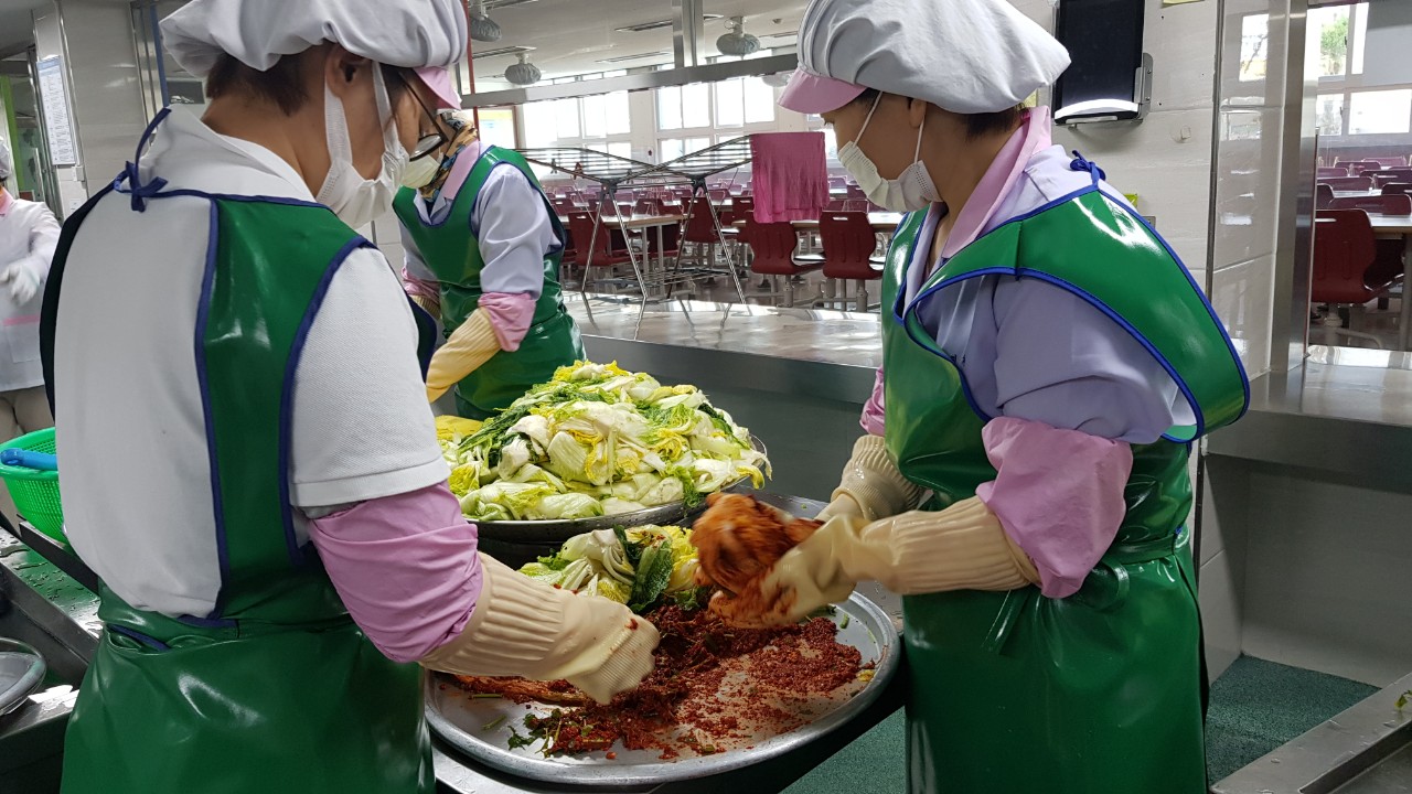 진영대흥초, 텃밭에서 키운 배추로 급식 김장까지! - 관련이미지2