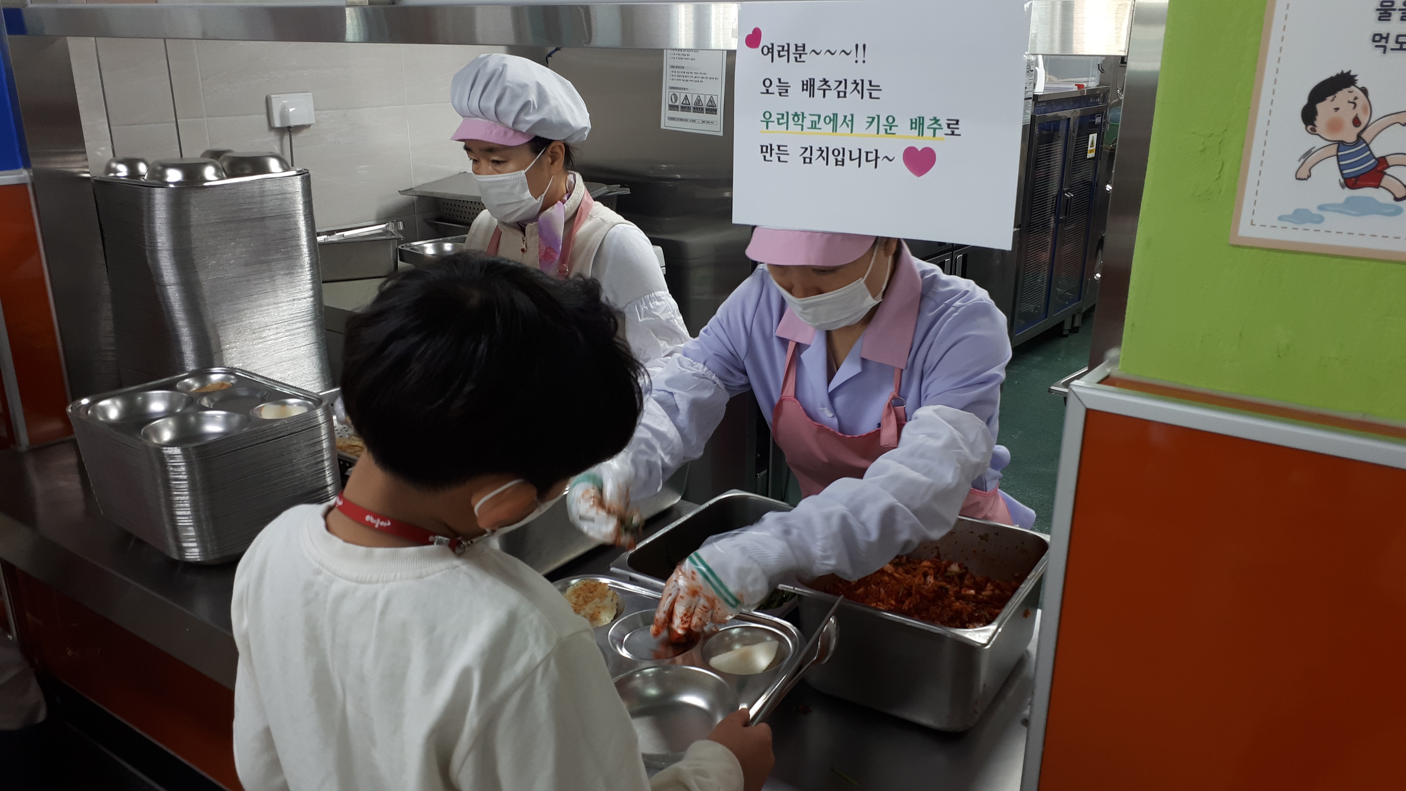 진영대흥초, 텃밭에서 키운 배추로 급식 김장까지! - 관련이미지3