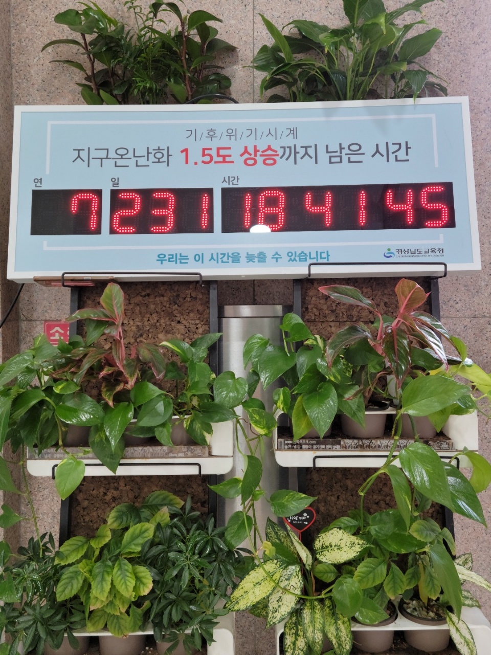경남교육청, 탄소중립 주간 운영 「더 늦기 전에 2050 탄소중립」(기후환경교육추진단 김경화 ☎278-1642) - 관련이미지1