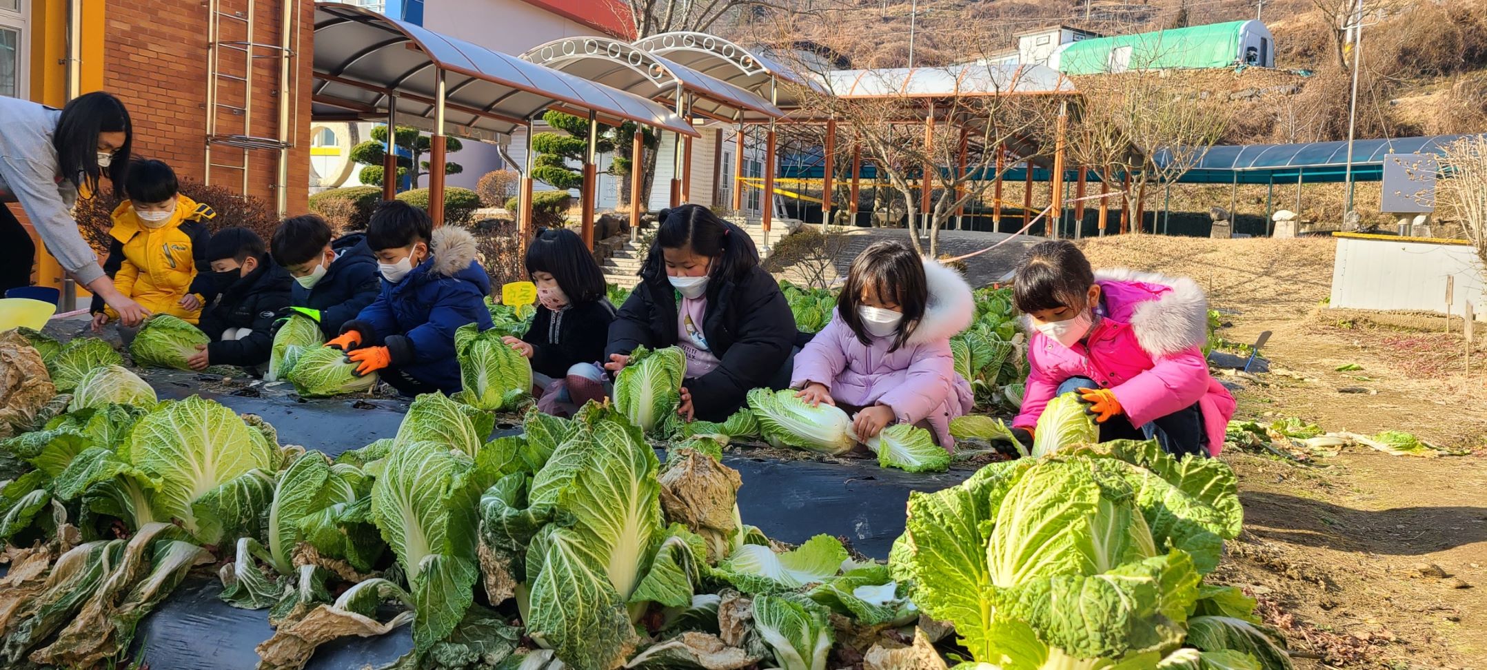 마천초병설유, 김장 체험 활동 실시 - 관련이미지1