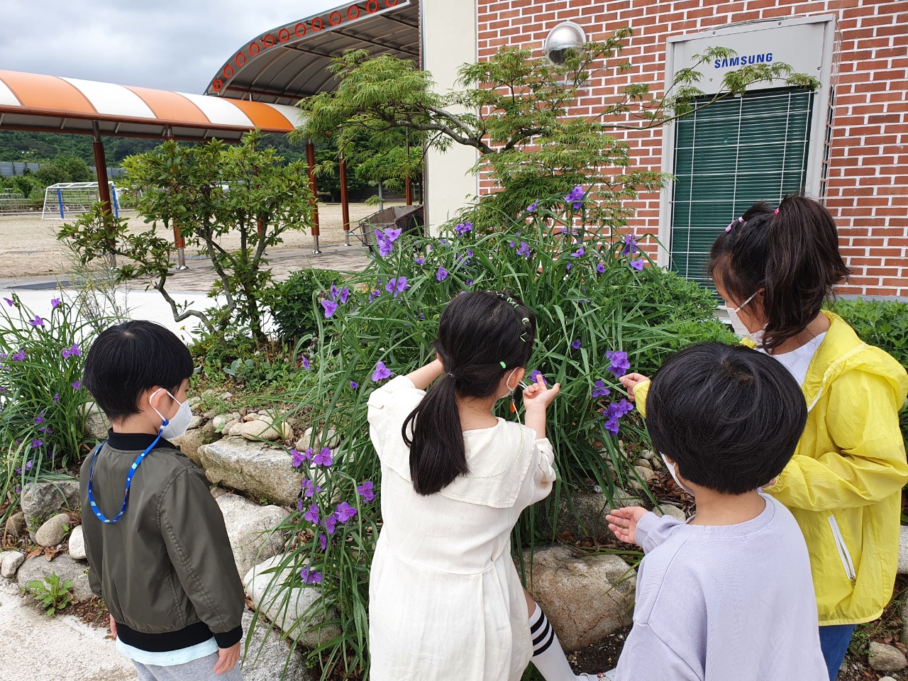 병곡초,온 몸(五感)으로 배우는 행복한 학교생활 - 관련이미지3