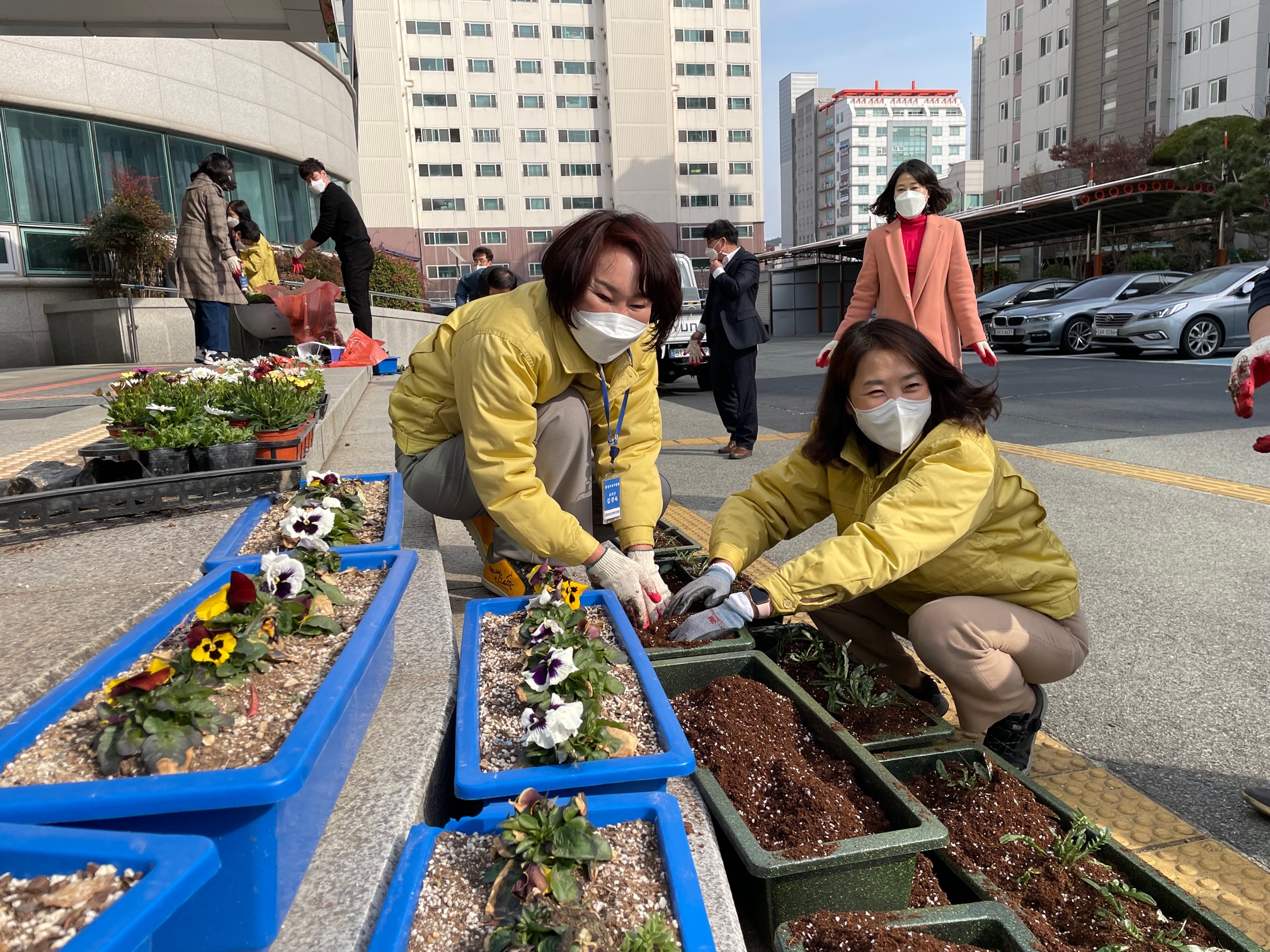 통영교육지원청, 청렴 꽃심기 행사 실시 - 관련이미지1