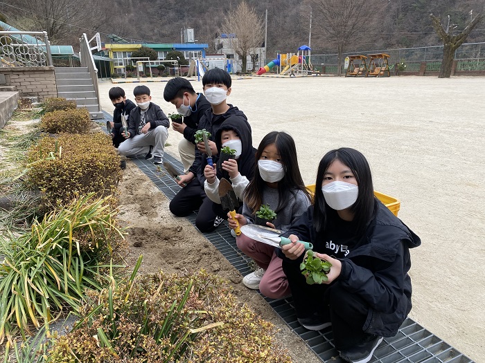 화개초왕성분교, 학교화단 가꾸기로 푸른 지구 만들기를 실천해요 - 관련이미지2