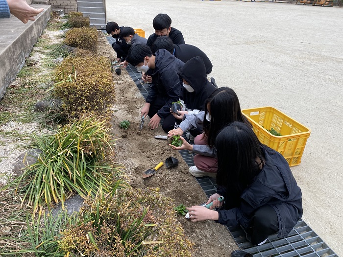 화개초왕성분교, 학교화단 가꾸기로 푸른 지구 만들기를 실천해요 - 관련이미지3