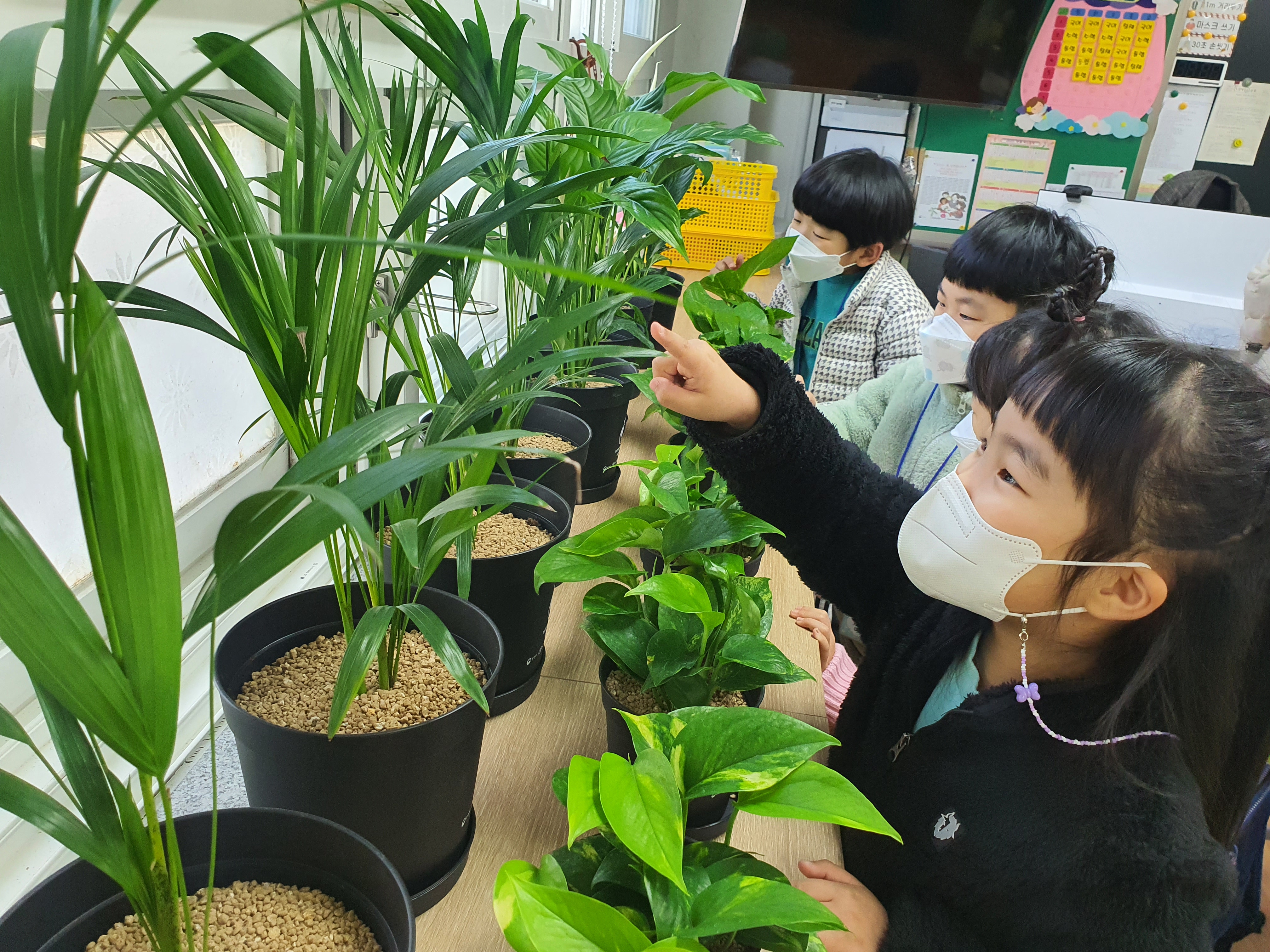 안계초, 기후행동 1.5˚C 스쿨챌린지 우수학교 수상 및 교실숲 조성 - 관련이미지2