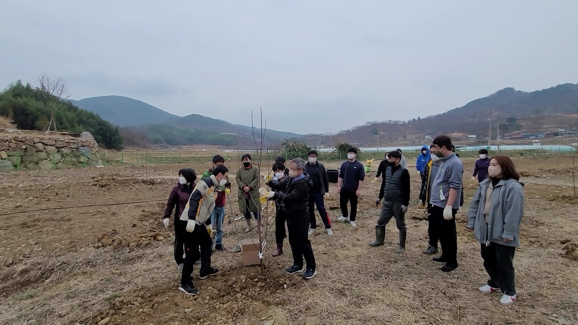 청렴나무심기