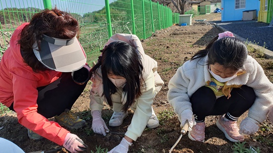 창녕 장천초, 학교 텃밭 가꾸기로 생태감수성 함양 - 관련이미지1
