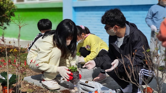 창녕 장천초, 학교 텃밭 가꾸기로 생태감수성 함양 - 관련이미지2