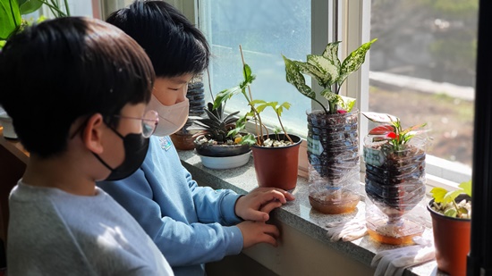창녕 장천초, 학교 텃밭 가꾸기로 생태감수성 함양 - 관련이미지3