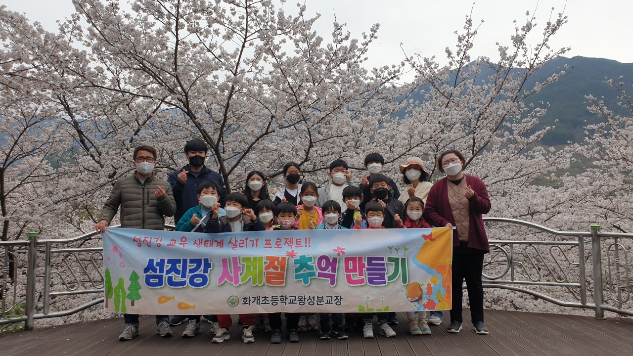 화개초왕성분교, 하동의 자랑! 화개십리벚꽃길 보러 오세요! - 관련이미지1