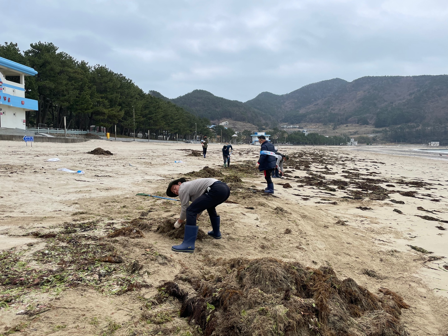 학생교육원 남해분원, 송정솔바람 해변 자연정화 활동으로 청렴 홍보 캠페인 - 관련이미지4