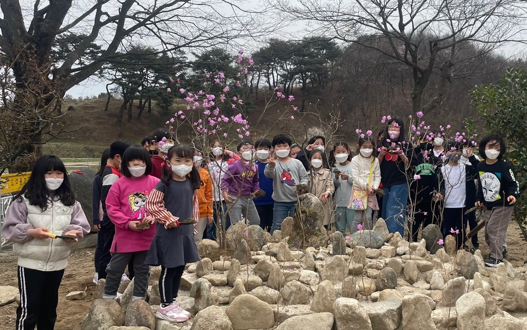 학교에 진달래 꽃이 피었어요! - 관련이미지1