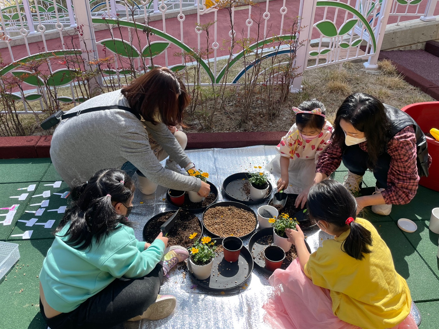 거제용소초병설유치원, 아름다운 환경을 위한 식목일 꽃 화분 심기 활동 실시 - 관련이미지1