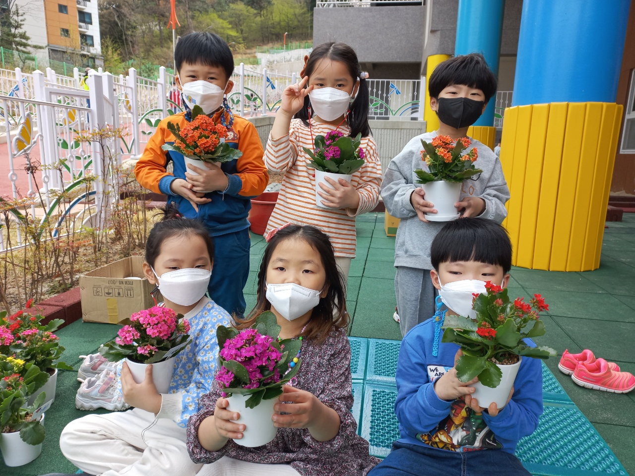 거제용소초병설유치원, 아름다운 환경을 위한 식목일 꽃 화분 심기 활동 실시 - 관련이미지3