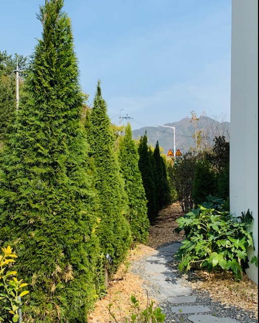 대한민국 환경교육의 미래, 생태환경미래학교 추진(기후환경교육추진단 천명수 ☎278-1643) - 관련이미지4