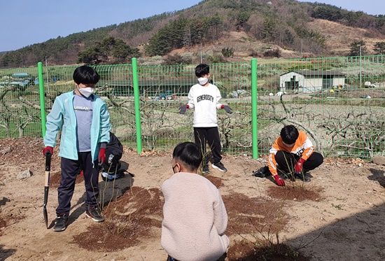 창녕장천초, 식목일 블루베리 정원을 꾸미다! - 관련이미지1