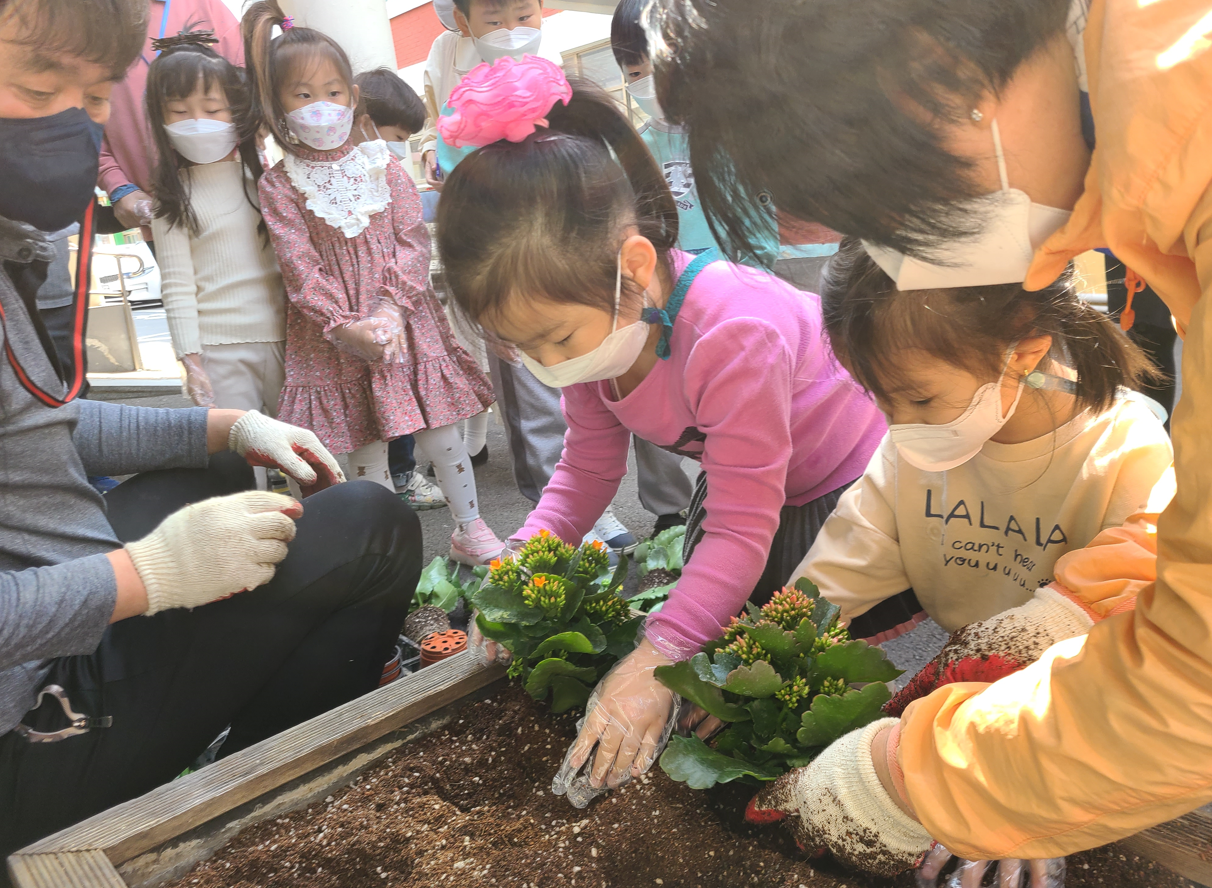 경화초병설유, 꽃을 심으며 코로나 속 소소한 행복찾기 - 관련이미지1