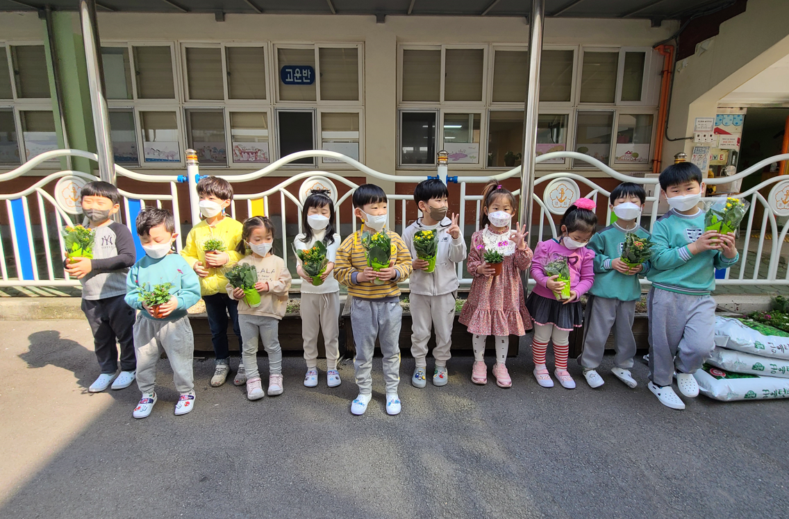 경화초병설유, 꽃을 심으며 코로나 속 소소한 행복찾기 - 관련이미지2