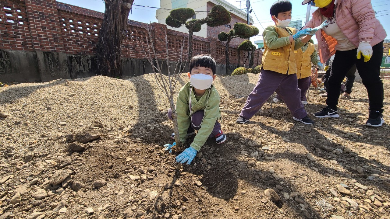 창선초등학교병설유치원 식목일 기념 무궁화 동산 조성으로 나라사라운동 실천 - 관련이미지2