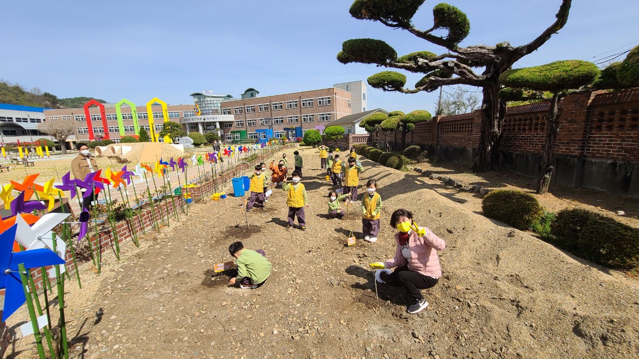 창선초등학교병설유치원 식목일 기념 무궁화 동산 조성으로 나라사라운동 실천 - 관련이미지3