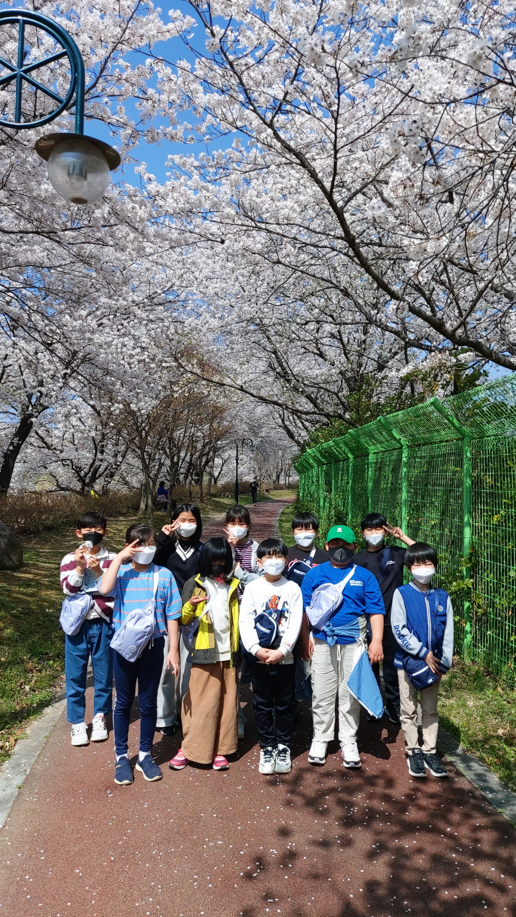 <병곡초>자연과 함께하는 생태걷기 실시 - 관련이미지4