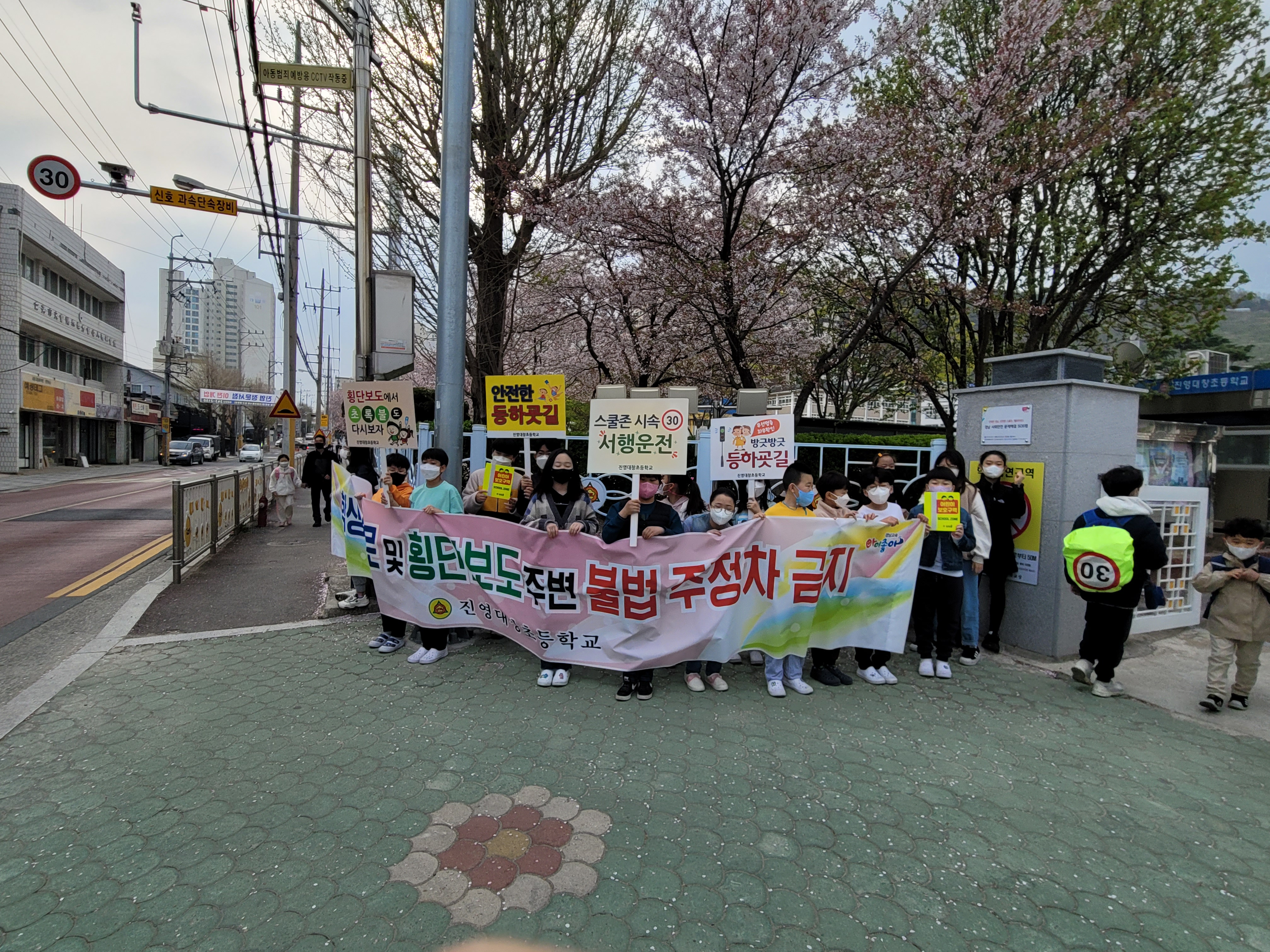 진영대창초 교통안전캠페인장면 1