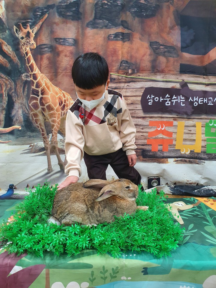 진해신항초등학교병설유치원, 자연과 교감해요 - 관련이미지1