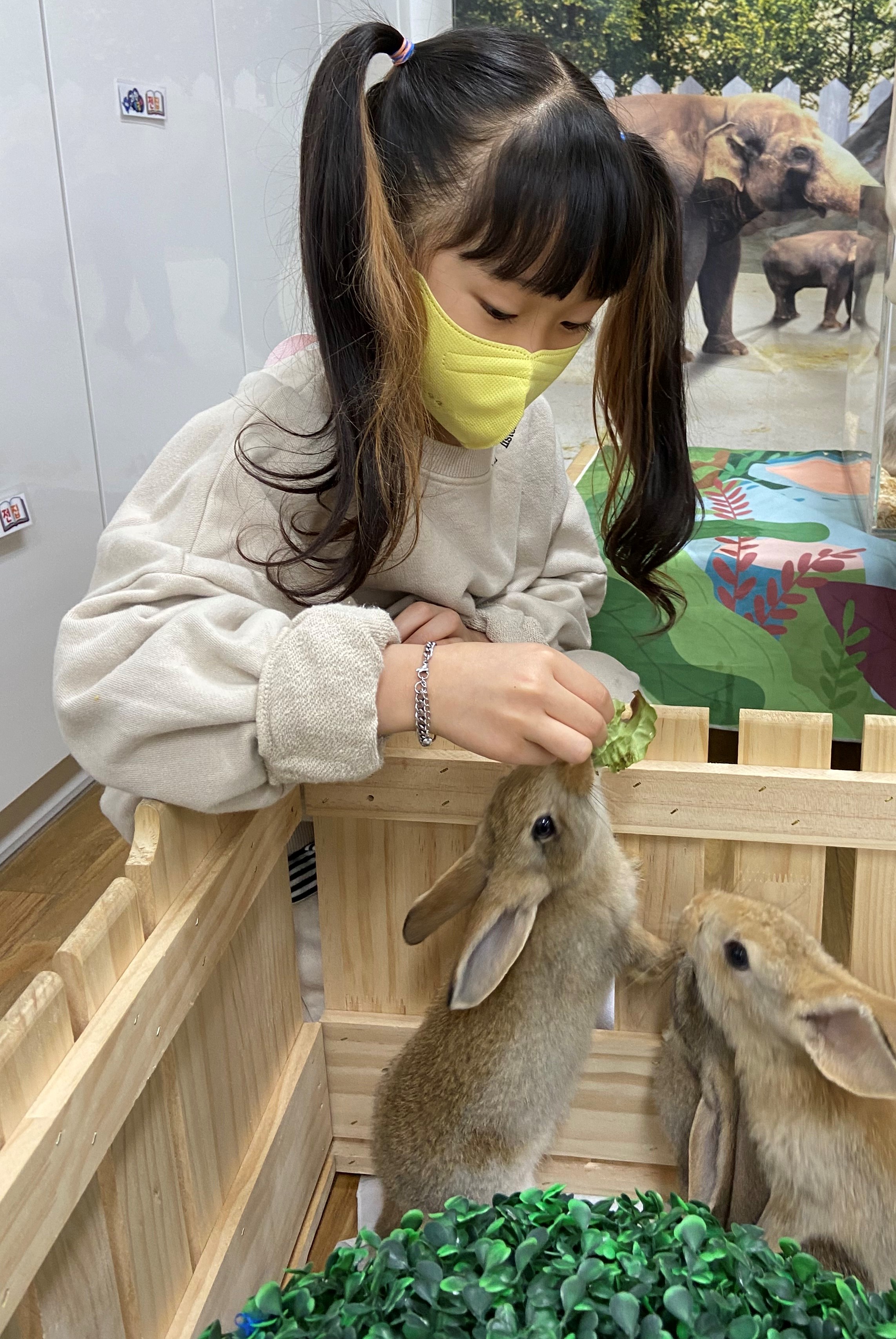 진해신항초등학교병설유치원, 자연과 교감해요 - 관련이미지2