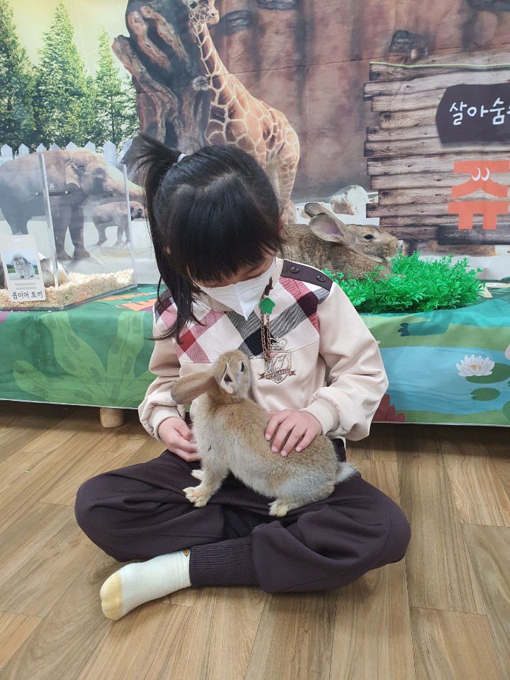 진해신항초등학교병설유치원, 자연과 교감해요 - 관련이미지3