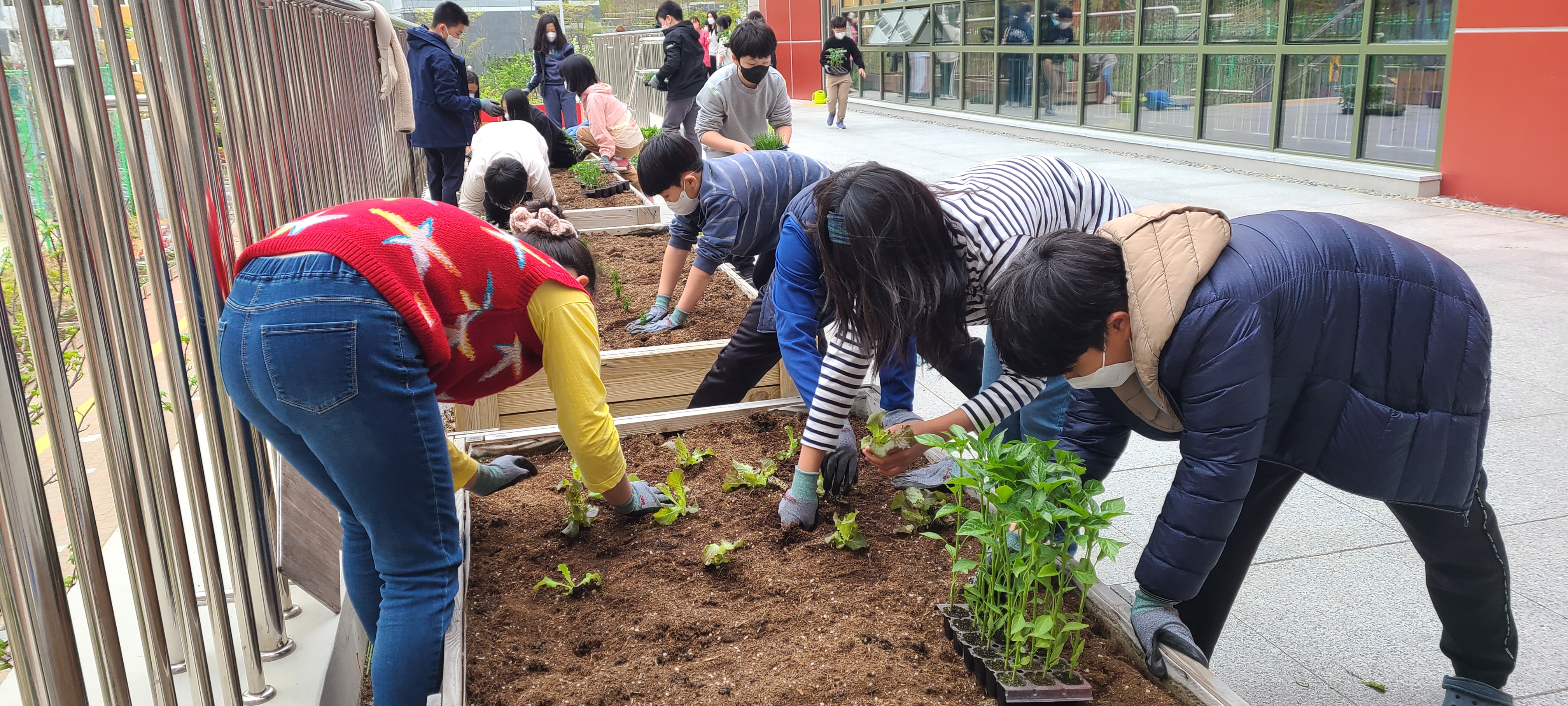 김해율산초, 행복한 공존을 위한 에코리더(Eco-Leader) 교육 - 관련이미지2