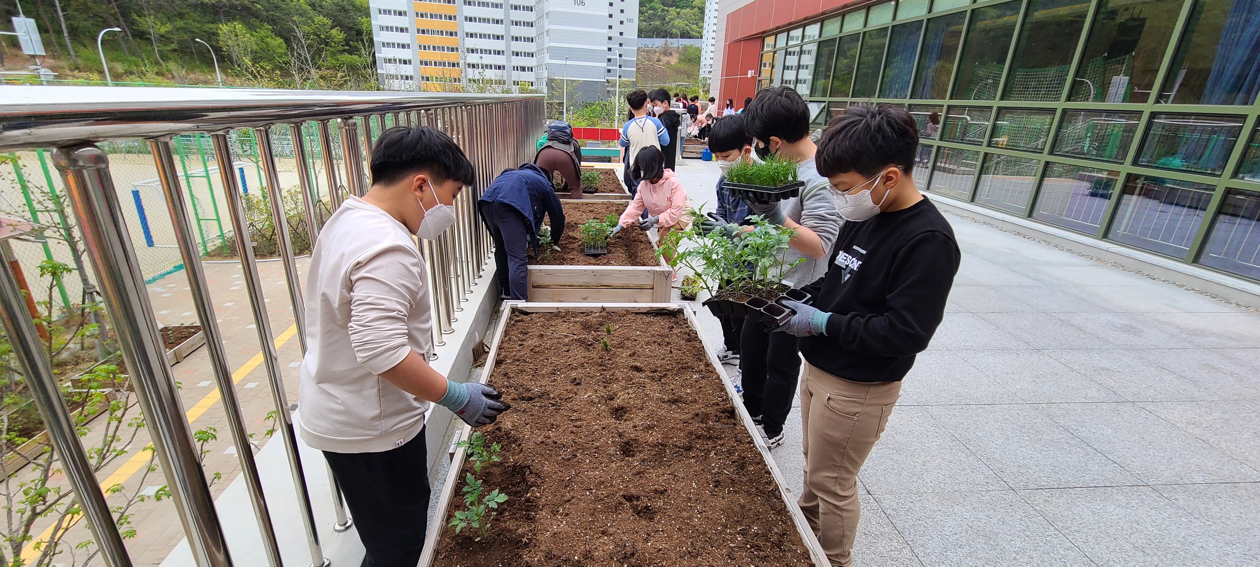 김해율산초, 행복한 공존을 위한 에코리더(Eco-Leader) 교육 - 관련이미지3