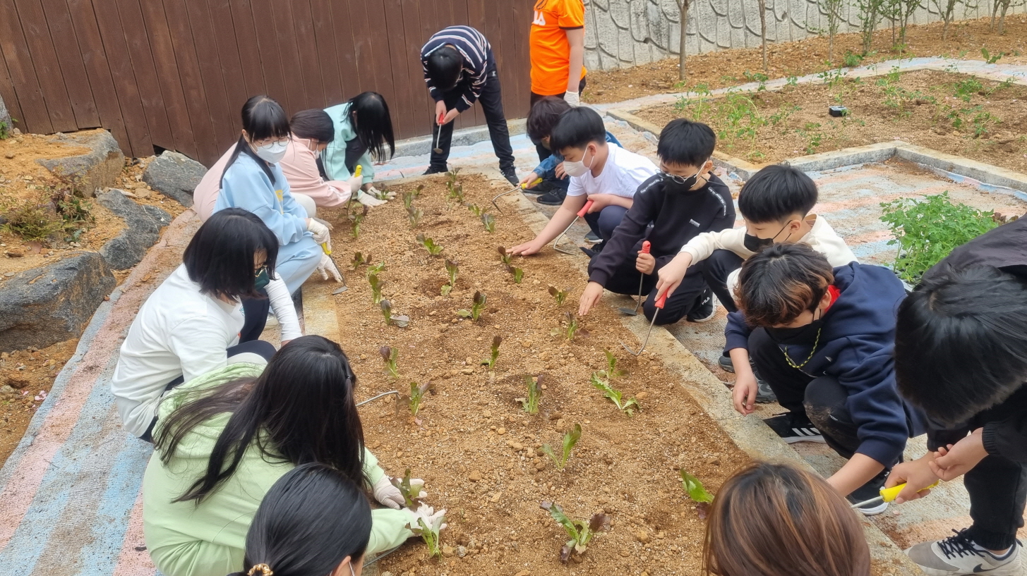 망경초, 텃밭교육학교 운영 - 관련이미지1