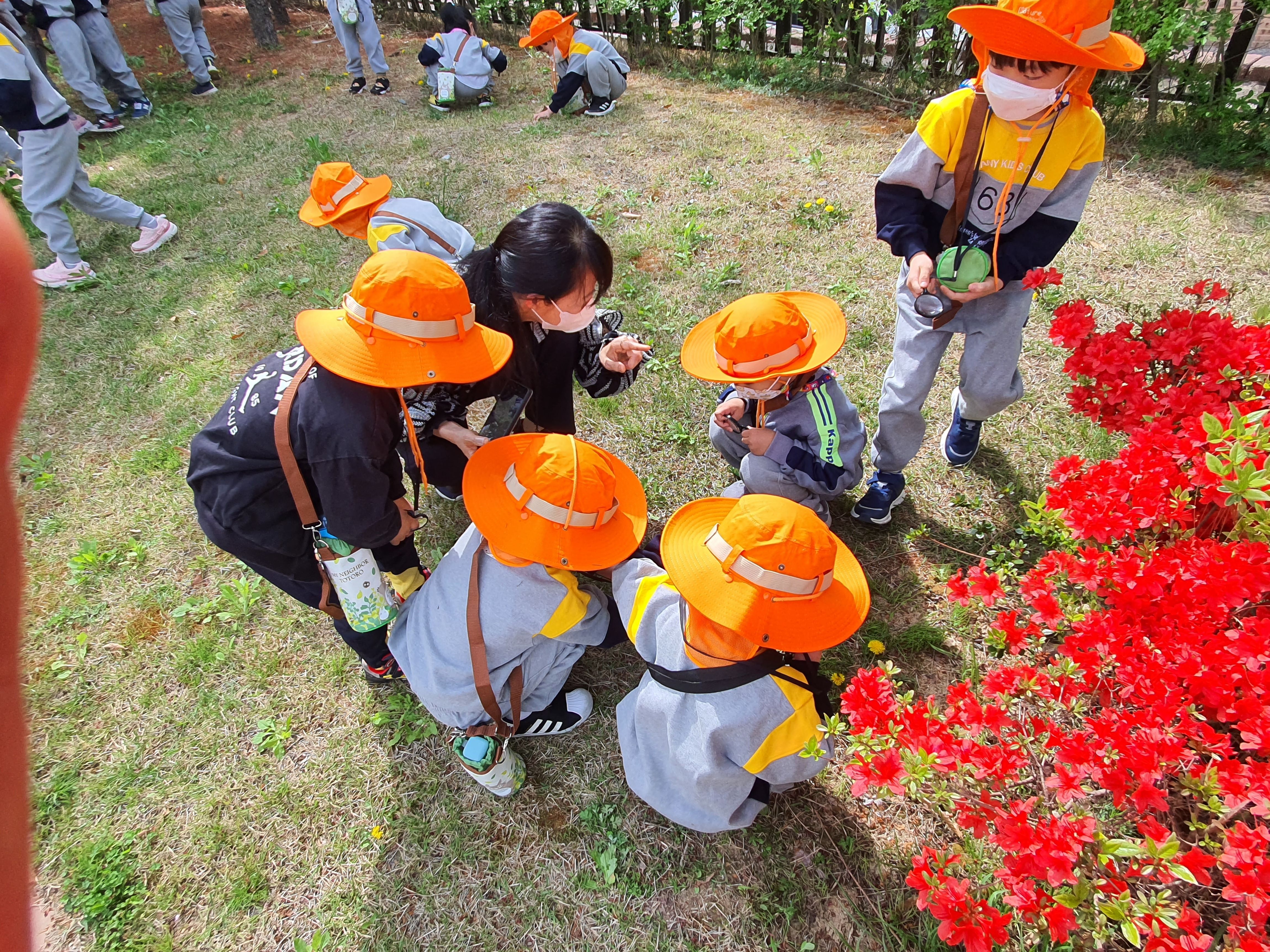 궁금해요! 싱기해요! 자연과 친구해요! - 관련이미지5