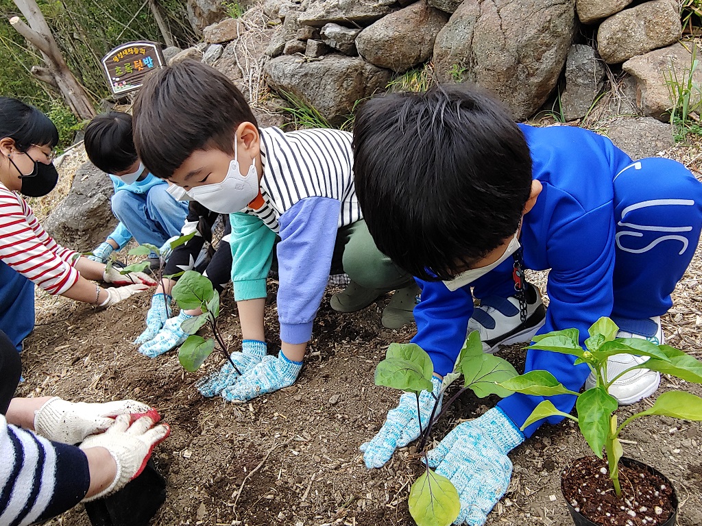 화개초왕성분교, 흙에서 생태감수성을 기르는 초록향기 학교 텃밭 가꾸기 - 관련이미지2